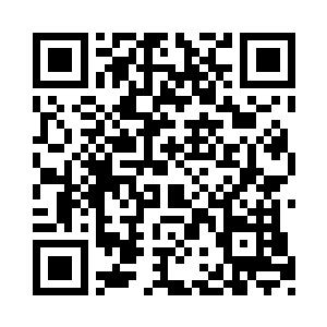 无论是隋立媛还是石梅在踏足第一家售卖皮尔二维码生成