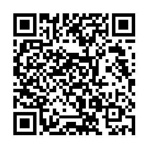 无论沐扬会不会出现在这里也没有人能说他对还是错二维码生成