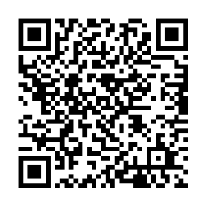 无论涉及到民还是官一律有向国安十一局汇报的权利二维码生成