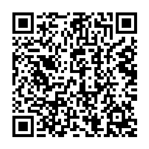 无防可守的褚子山领着十几名身穿红晶战甲的幸存手下如同疯了一般二维码生成