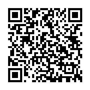 无非如今天地法则渐渐地又回到了另外一种平衡二维码生成