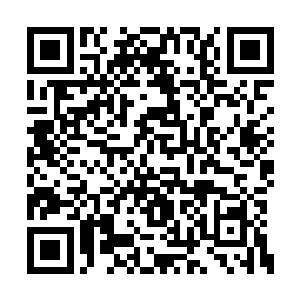 无非就是想利用凝成八十八角真阳楼的这股伟力二维码生成