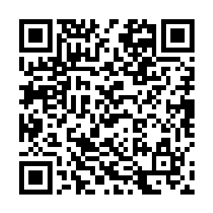 无非是希望自己的后代能够不要为自己过去造下的孽果二维码生成