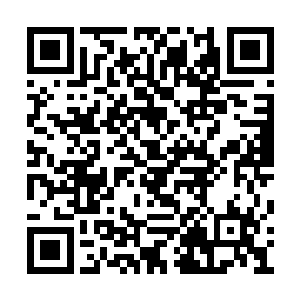 无非炼这丹药不仅需要的药材就要九九八十一种二维码生成