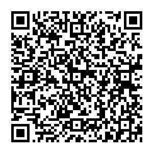 既然从自己的紫烟空间内看出了天道对于天道之下的生物有着极强的控制那么自己这一生究竟是否能够挣脱天道二维码生成