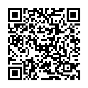 既然他之前连最重要的主神秘密都告诉了愤怒等人二维码生成