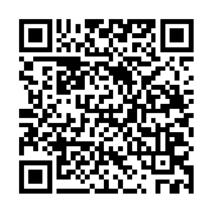 既然史密斯张大导演确认他的电影会成为现像级的电影二维码生成