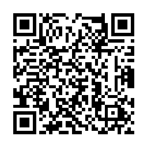 既然奶奶有问到我瞎老头屋子桌面上有多少个瓷瓶二维码生成