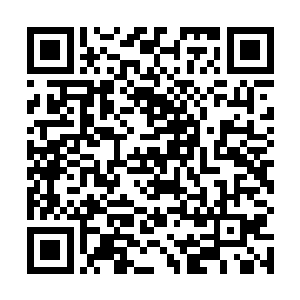 既然她对这个粉果这样的上心这东西肯定有特殊的地方二维码生成