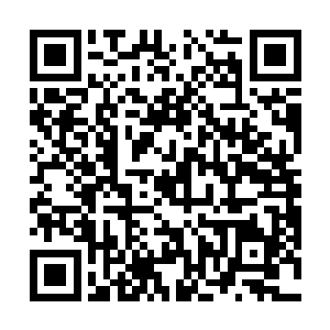 既然如此……哈珀先生应该也会在某处出来帮忙吧……二维码生成