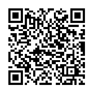 既然如此……那么这里面的任何关卡都不会是死路二维码生成