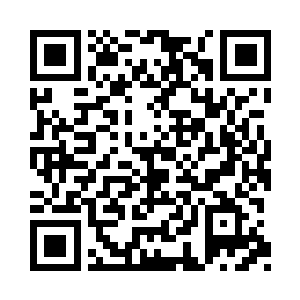 既然如此为何这些古藤能抵御火之源的焚烧二维码生成