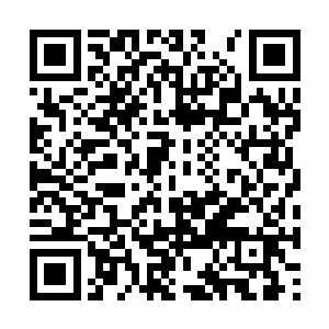 既然对你的风险投资已经完全成为了她的私人财产二维码生成