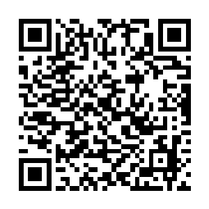 既然已经证明了那种东西能够在催化体内的毒素之后二维码生成