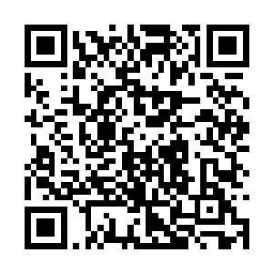 既然张姓老者所要求的就是让叶秋培养出一批杀手二维码生成