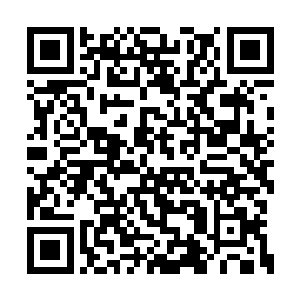 既然张璐涵都这么说了我当然也不好再多说什么二维码生成