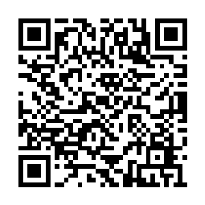 既然我和四名学生都可以完美融入液态金属之中二维码生成