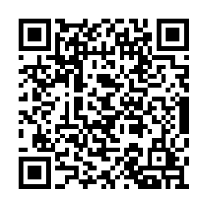 既然是一场可能比那奈瑟斯复苏更加危险的浩劫二维码生成