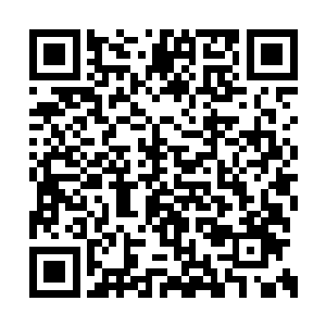 既然莫紫嫣会这么淡定地说让自己看画上的内容二维码生成