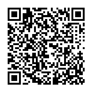 既然血祭熔炉里面那些烧成灰烬的魔族骑士的身体都是极品的肥料二维码生成