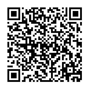 既然许紫烟说是基本上脉络相符那就意味着许紫烟确实是从世俗界走出来的修士二维码生成