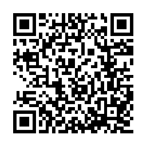 既然费明敢明目张胆的调集这么多人来围攻酒店二维码生成