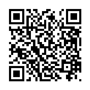 既然这样那主人又为何特意收集证据二维码生成