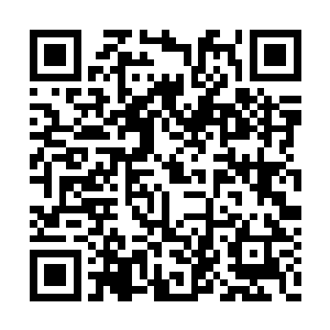 既然连七级阵法师独孤经丘都看不出此阵的来历二维码生成