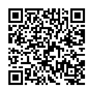 既然那六头变异土狼交给了我们警备队和格鲁先生的荆棘小队二维码生成