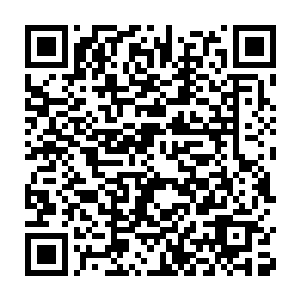 既然鬼葬之棺已经被带入了鬼域那么事情就比想象的要麻烦得多了二维码生成