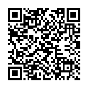 日前雨果兰开斯特在接受kqed电台访问时开玩笑称二维码生成