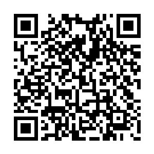 日后咱们这一脉的杨氏族人都得跟着一块儿倒霉二维码生成