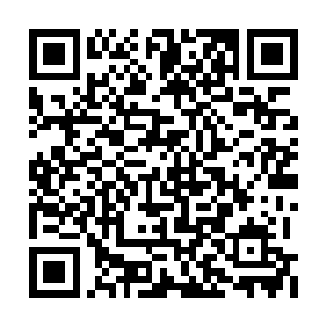 日后萧恒就是有心想返回南耀国朝堂也来不及了二维码生成