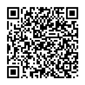 日族族长和月族族长已经看出许紫烟绝对抵御不住星霸的这一次轰击二维码生成