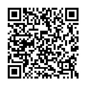 日月星三族族长倒是没有释放出界笼罩百族修士二维码生成