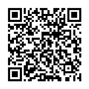 日本本年度的金枪鱼大市终于进入到了一个最高氵朝二维码生成
