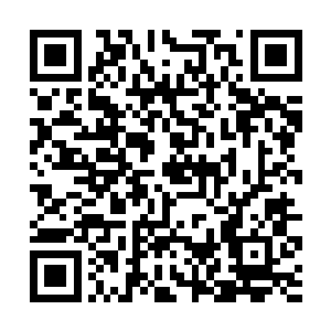日本球迷们非常喜欢这位笑起来阳光又腼腆的大男孩二维码生成