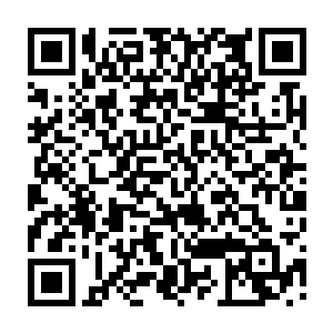 早上听司直的小黄门透露说朱平安要被圣上迁任为景王府侍讲学士的时候二维码生成