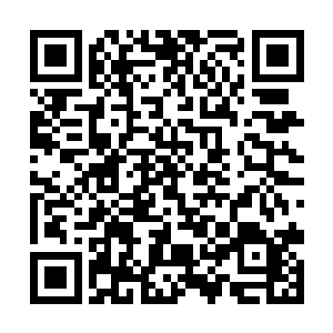 早上在教室里的时候大家还起哄让她们俩现场排练呢二维码生成