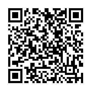 早先被毒蝎子咬伤被她挖骨祛毒包扎的地方已经溃烂二维码生成