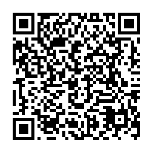 早前也听说过自己地盘上出了个叫飞红的当红戏子被绿婆婆收为了干女儿二维码生成