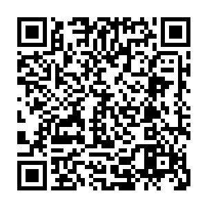 早就已经练到了就算是闭着眼睛也能够准确的刺入到隐穴当中的熟练程度二维码生成