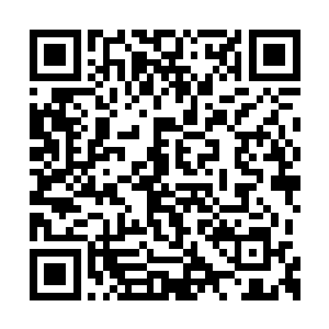 早就排队在神殿之内等候着的魔族军团的战士们二维码生成