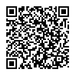 早就知道这个落日山脉里可能隐藏了一个关乎整个游戏世界的惊天秘密二维码生成