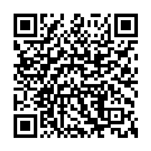 早就等待的有些不耐烦的队员们如猛虎下山一般二维码生成