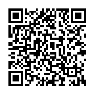 早就隐约看出了我们潜入通天城的目的并不单纯二维码生成