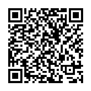 早已成了焦色的皮毛上还有着白色火焰幽幽燃烧着~二维码生成