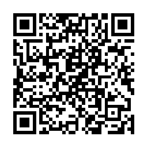早已成熟的凤之遥早已经将这两个兄长远远的甩在了身后二维码生成
