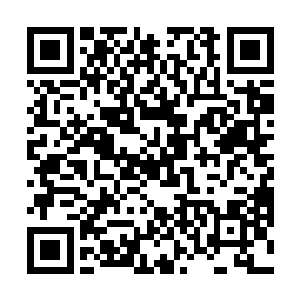 早已排列好的众多弟子纷纷尽全力挥洒体内的仙灵之气二维码生成