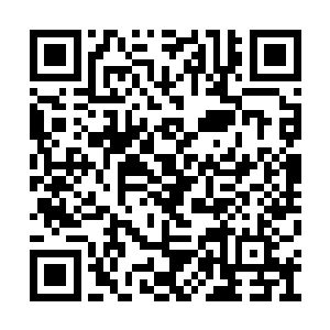 早已摆脱了之前那种大猫小猫两三只的尴尬局面二维码生成